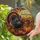 Happy Thanksgiving Turkey And Pumpkin Stained Glass Harvest Window Decor For Farmhouse Stained Glass Suncatcher - 2