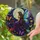 Stained Glass Fairy Moon Butterflies for Magical Garden Window Decor And Gift Giving Stained Glass Suncatcher - 2