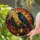 Gothic Raven Lantern Halloween Window Decor For Autumn Home Lovers And Collectors Stained Glass Suncatcher - 2