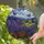 Lavender Garden Stained Glass Window Decor For Farmhouse Kitchens And Flower Lovers Stained Glass Suncatcher - 2