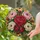 Peony Stained Glass Floral Bouquet for Colorful Window Decor and Housewarming Gifts Stained Glass Suncatcher - 2
