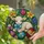 Stained Glass Easter Lamb With Floral Eggs For Spring Window Decor And Easter Gifts Stained Glass Suncatcher - 2
