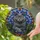 duiyfppz/products/6a719f03942aa289c268fce9/gallery/ZLWsXkc_AJ