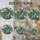 duiyfppz/products/6a71a030cfb86a5984ac45b8/gallery/lLj9xK5ofv