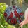 duiyfppz/products/6a71a0b2cfb86ae1f2ac47f1/gallery/XA7koqkGdi