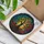 duiyfppz/products/6a71a18437b56461a3fefeac/gallery/fQHJr2Wr7C