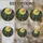 duiyfppz/products/6a71a1f43ba12e45e0321ea0/gallery/f5mkqpfnKN