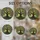 duiyfppz/products/6a71a20a3ba12e9e46321f01/gallery/JH3DAvGHpz