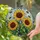 duiyfppz/products/6a71a2410280b27a14db5e64/gallery/dedh13ZC4X