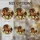 duiyfppz/products/6a71a26b0280b22358db6102/gallery/IIp8U85blT