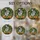 duiyfppz/products/6a71a292ef94a88269ab8627/gallery/6OATNAMhyY