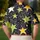 duiyfppz/products/6a72a047689d224da09f7d39/gallery/DPwuhoGlB8