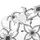 Black Botanical Trellis Floral Resort Style For Beach Dates And Summer Travel Men's Polo Shirt - 6