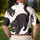Black Cat Silhouette Minimalist Art for Halloween Outfits and Stylish Cat Lover Gifts Men's Polo Shirt - 5