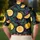 Lemon Grove Botanical Motif For Beach Vacations, Resort Nights And Tropical Summer Style Men's Polo Shirt - 5