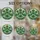 duiyfppz/products/6a73fd0631450a50777a1eaf/gallery/NhgG-zqLGH