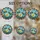 duiyfppz/products/6a73fd22c53ef1b826166df5/gallery/9Efq29phh7