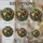 duiyfppz/products/6a73fd4265c44782dd6e3457/gallery/N62WxR5_r6