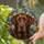 duiyfppz/products/6a73fe10eaf1272623b6aa5b/gallery/13WekqPmKO