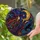 duiyfppz/products/6a73ff61eaf1279315b6b1a3/gallery/SokznNGVCa