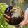 duiyfppz/products/6a73ff80eaf1272facb6b200/gallery/fCDa-4uXaf