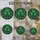 duiyfppz/products/6a73ffb1271a402b381a63ff/gallery/IkFL3RrCzr