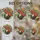 duiyfppz/products/6a74001931450a4fb07a46bd/gallery/NWVdKNvpTq