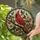 duiyfppz/products/6a74002a24393abc142b7c83/gallery/L19oAd9XuR
