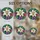 duiyfppz/products/6a74004c65c4471e4b6e48ba/gallery/2gSjiDLeyK