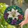 duiyfppz/products/6a74004c65c4471e4b6e48ba/gallery/gL-gtXu39O