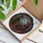 duiyfppz/products/6a7401c9271a40817b1a6976/gallery/ic9ouUOO-k