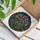 Stained Glass Raccoon Garden Window Decor for Woodland Home And Nature Gift Lovers Stained Glass Suncatcher - 4