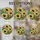 Sunflower Butterfly Stained Glass Window Decor for Garden Gift for Nature Lovers Stained Glass Suncatcher - 5