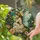Woodland Fairy Stained Glass Window Hanging Decor for Garden Lovers and Cottage Rooms Stained Glass Suncatcher - 2