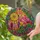 Flamingo Dream Catcher Stained Glass Window Decor For Tropical Home Decor Gift Lovers Stained Glass Suncatcher - 2