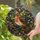 Robin Stained Glass Window Decor For Cottage Kitchens And Bird Lover Gifts Country Stained Glass Suncatcher - 2