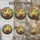 Leaded Stained Glass Easter Egg Nest Garden Decor for Spring Windows and Holiday Gifts Stained Glass Suncatcher - 5
