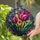 Pink And Purple Tulip Stained Glass Window Decor For Spring Garden Home Gift Giving Stained Glass Suncatcher - 2