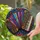 Stained Glass Accordion Mosaic Window Decor for Music Lovers and Housewarming Gifts Stained Glass Suncatcher - 2