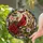 Red Cardinal Stained Glass Garden Window Decor for Bird Lovers and Housewarming Gifts Stained Glass Suncatcher - 2