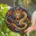 Fierce Eastern Dragon Stained Glass Window Decor for Lunar New Year Home And Office Stained Glass Suncatcher - 2