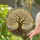 Stained Glass Tree Of Life Window Decor For Housewarming Gifts And Garden Lovers Stained Glass Suncatcher - 2