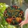 Welcome Fall Pumpkins And Sunflowers Stained Glass Thanksgiving Home Window Decor Stained Glass Suncatcher - 2