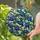 Blueberry Stained Glass Window Decor for Kitchen Garden Cottage Housewarming Gifts Stained Glass Suncatcher - 2