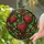 Strawberry Stained Glass Heart Window Decor for Cozy Kitchens and Garden Lovers Stained Glass Suncatcher - 2