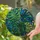 Tropical Monstera Stained Glass Window Decor For Bohemian Home And Garden Lovers Stained Glass Suncatcher - 2