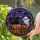 Halloween Witch Cat And Ghost Pumpkins For Cozy Spooky Home Decor And Fall Party Lovers Stained Glass Suncatcher - 2