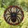 Gothic Stained Glass Tarantula Web Decor for Halloween Homes and Witchy Living Rooms Stained Glass Suncatcher - 1