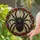 Gothic Stained Glass Tarantula Web Decor for Halloween Homes and Witchy Living Rooms Stained Glass Suncatcher - 2