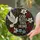 White Dove God Bless This Home Stained Glass Christian Housewarming Gift for Families Stained Glass Suncatcher - 2